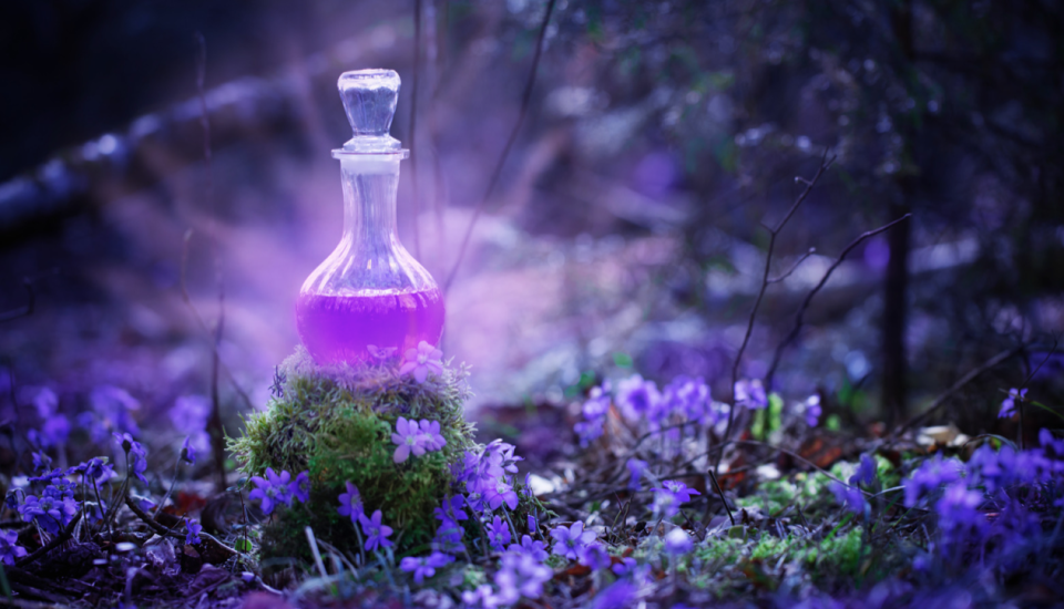 une potion violette dans une fiole repose sur de la mousse verte. des fleurs violettes entourent cette mousse verte. 