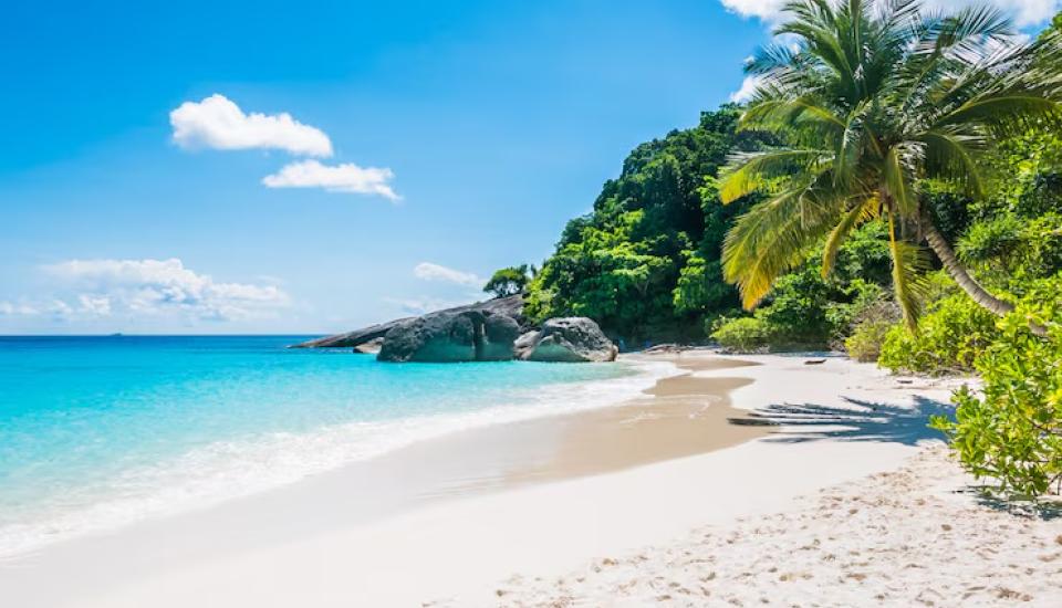 Une île paradisiaque sable fin, eau bleue et palmier. 3 nuages dans le ciel dégradé de bleus
