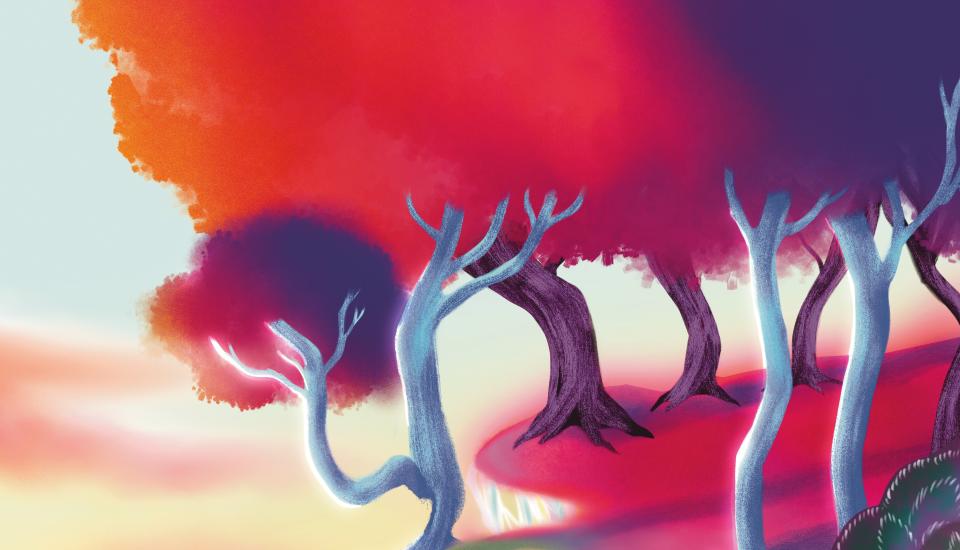 Visuel de saison septembre-décembre 2026 Arbres aux troncs blancs et violets, feuillage rouge-orange et violet