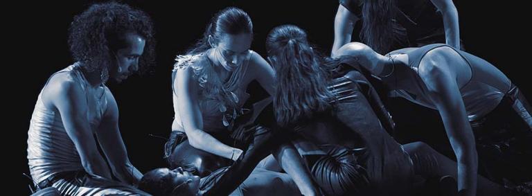 Danseurs de Counting Stars With You