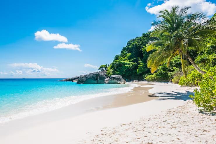 Une île paradisiaque sable fin, eau bleue et palmier. 3 nuages dans le ciel dégradé de bleus